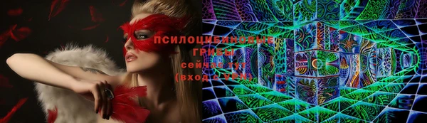 соль курить ск Алексеевка
